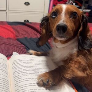 Meet your Posher, Austin